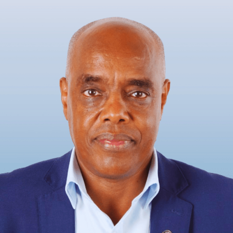 Bro. Paulos Mesmer, FSC